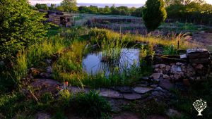 La mare, lieu de détente et de pause matinale