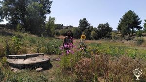 Family farm - permaculture, food autonomy, alternative medicine