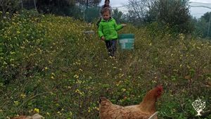 Casa familiare e giardino - rurale, Sito ecoturistico , Orto commerciale, Frutteto