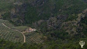 Family farm