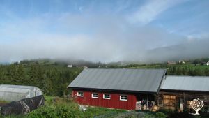 Smallholding, Family farm