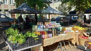 Organic herb farm, farmshop/Markets  producing and selling local products and crops