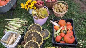 Ranch Srbsko - Permadise