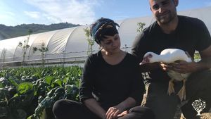 Produzione ortaggi