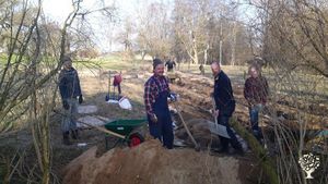Constructing a Greenhouse, Crafting a Sauna & Brewing Rhubarb Wine