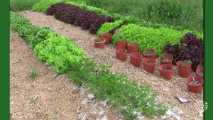 Ranch Srbsko - Permadise