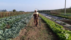 Azienda agricola rigenerativa in Romagna  zona pedecollinare.