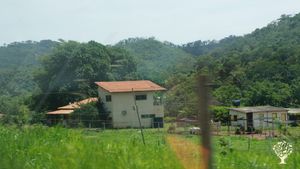 Quinta com produção de refeições, queijo e derivados