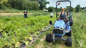 Micro ferme en Agroécologie.