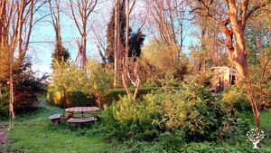 Looking through the backyard of our dreamplace. You can see the tipi, without cover, and the sauna