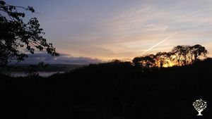 Smallholding, orchard