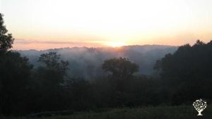 Orchards, tallgrass prairie, timber and chickens on 75 acres and a river