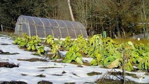 Eco Lodge/Wilderness Adventures