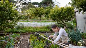 Putting our hands in the soil every day makes us feel better!