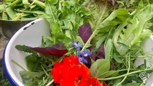 No-dig Market Garden