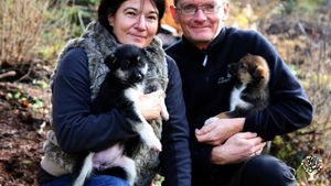 Farm in the mountains