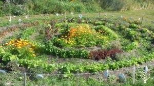 Jardin en forme de vortex