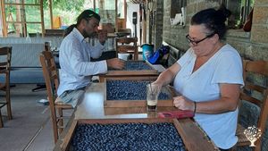 🌿 Organic Farm Retreat in the Heart of Tzoumerka Mountains