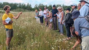 Wildflower Meadows, New Woodland and Smallholding
