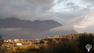 Azienda agricola a impronta naturale  biosostenibile