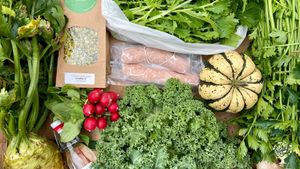 Fall harvest for our farmshop. We grow around 100 different kinds of vegetables throughout each year