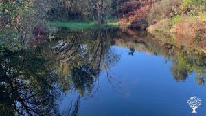 Regenerative Project - Land & People As One