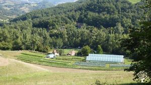 Orto commerciale, Frutteto, Fattoria di famiglia
