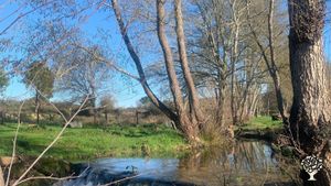 Regenerative Project - Land & People As One