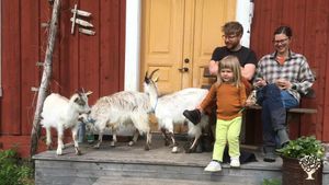 Small farm close to the mountains with goats, chicken, bees and vegetables