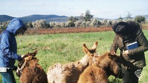 Barbaros Farm Yerel Deneyimler ve Agroturizm Merkezi