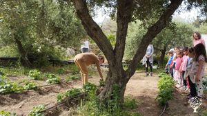 Arteis farm Ikaria