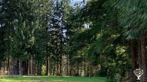 Hobby farm in the Fraser Valley