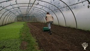 Organic Vegetable Farm
