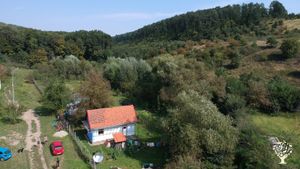 Wanna-be market garden, agroecological, providing restaurants, former CSA