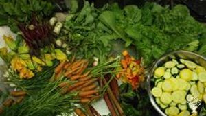 Educational centre, communal living / cohousing