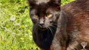 Ekologická farma v Čechách