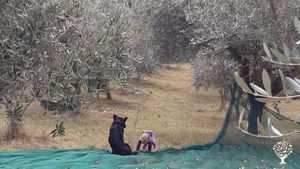 Piccola azienda biologica sulle colline umbre