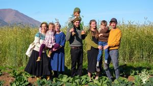Organically-certified farm growing outdoor vegetables and raising sheep for dairy.