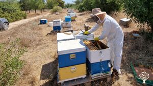 Permaculture inspired farm producing free range eggs, organic no-till veggies and raw honey.
