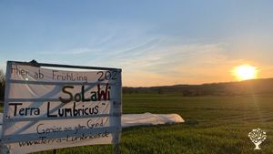 Gemüse-SoLawi mit Ackerbau und Schafhaltung