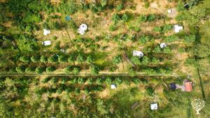 Agritourism Destination, Family farm