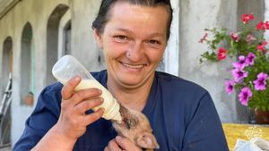 Family farm, Community farm