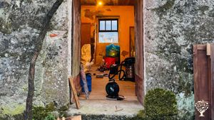 Family builds green future