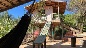 Produção de Mudas orgânicas