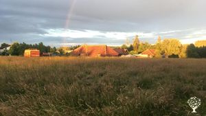 Mixed Farm