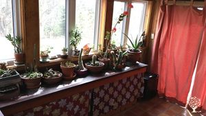 Room #1 'Plant Room'
