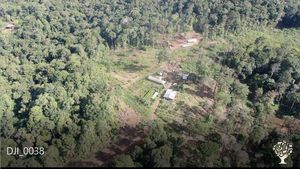 Ferme bio de culture de cacao et de transformation du cacao