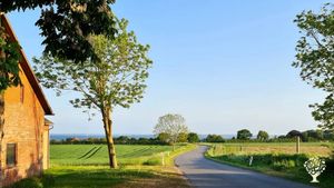 Organic flowerfarm at the sea