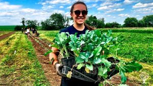 A Farm-Home with a Focus on Sustainability and Community