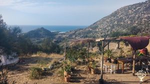 Sea view from the kitchen pergola